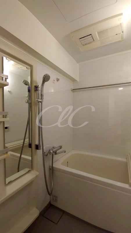 グリフィン横浜・サザンフォート 風呂画像