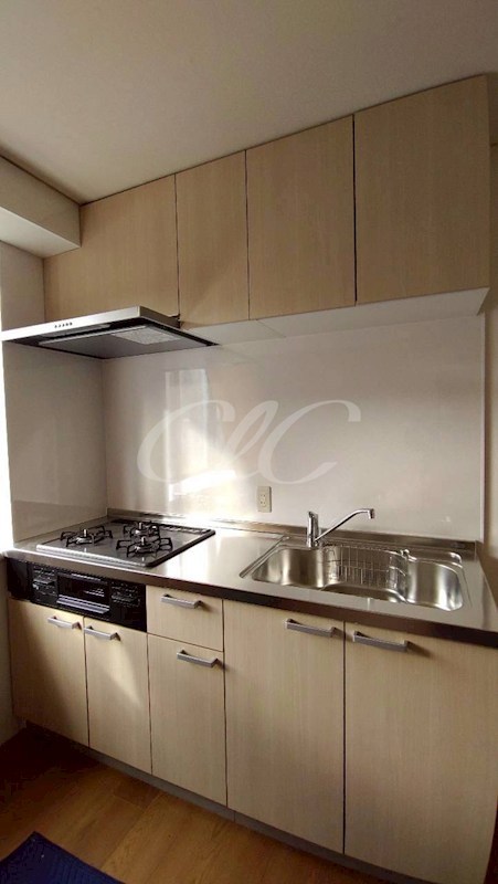 サンコート中里台パートⅤ キッチン