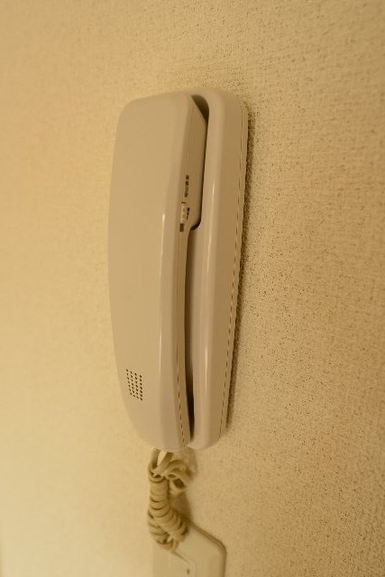 Full　Wise　Ⅰ その他1