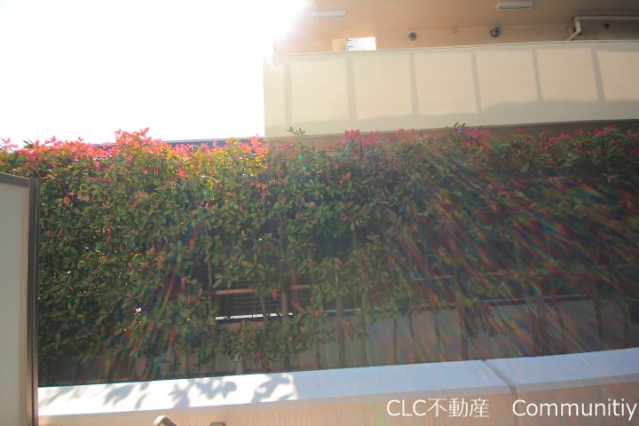 プライマル浦安 その他6