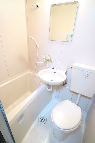 ヴェルドミール  風呂画像