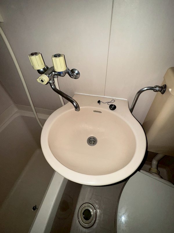 ヴェルドミール  その他3