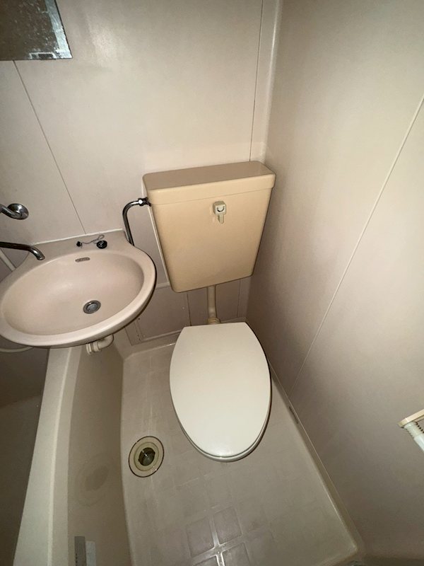 ヴェルドミール  その他4