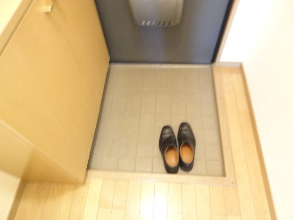 ウィルヴィラージュⅠ 玄関