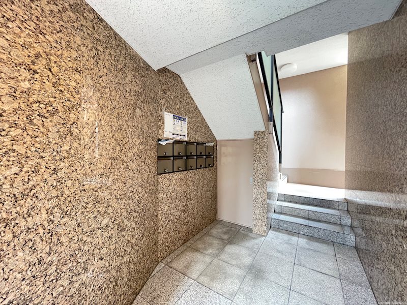 イル・プリモ その他11