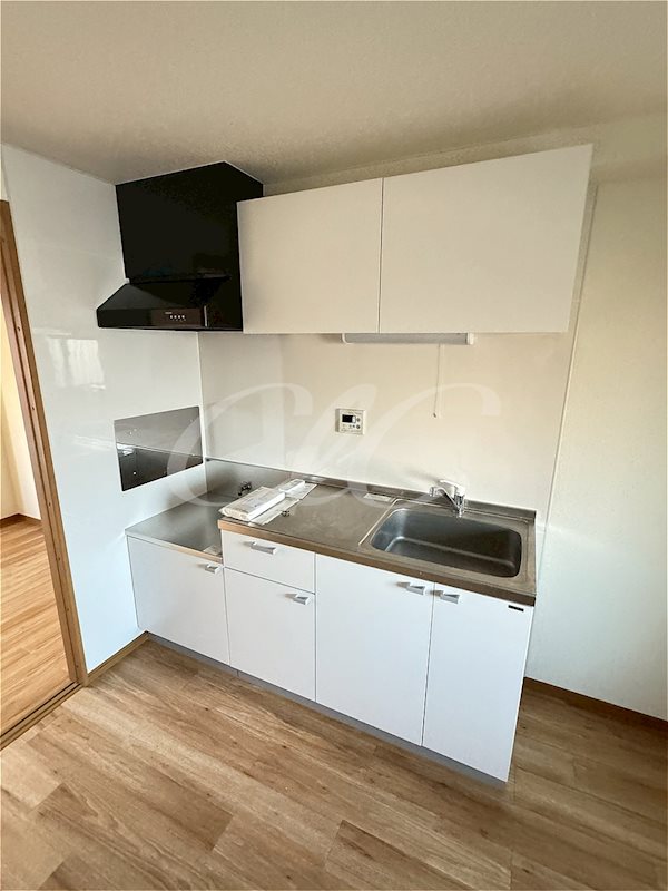 ゴールドベル新川崎 キッチン