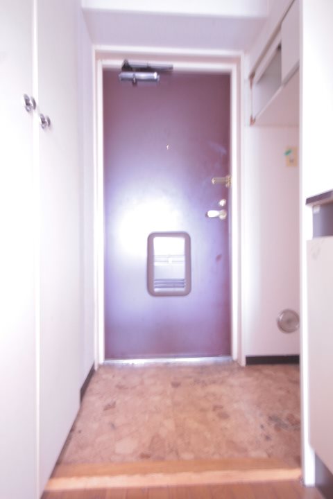 エステート富士見 玄関