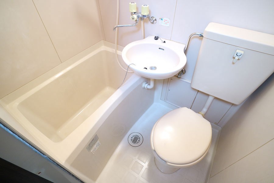 ヴェルドミール  その他4