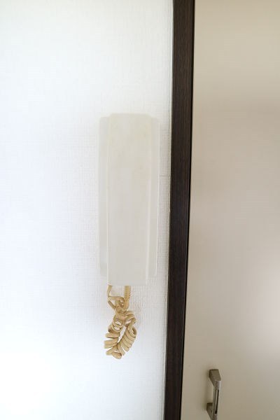 ヴェルドミール  その他7