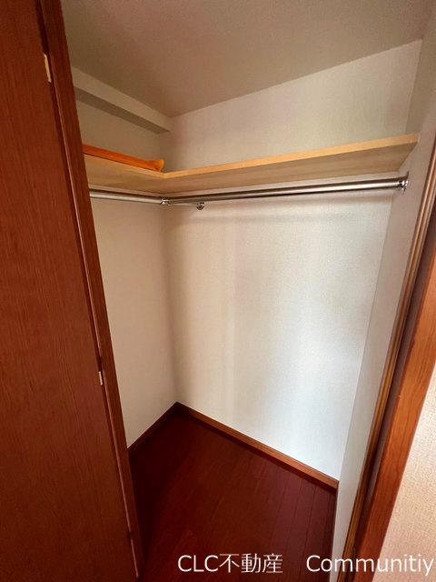 エバーグリーン その他3