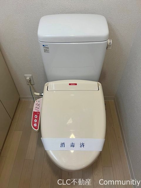 エバーグリーン その他5