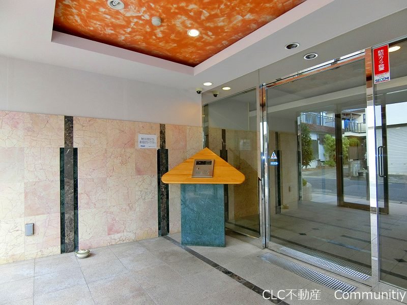 エバーグリーン その他6