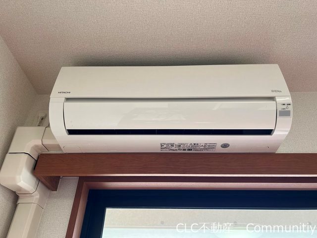 エバーグリーン その他7