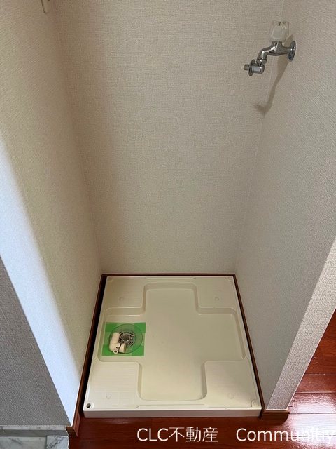 エバーグリーン その他10