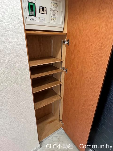 エバーグリーン その他11