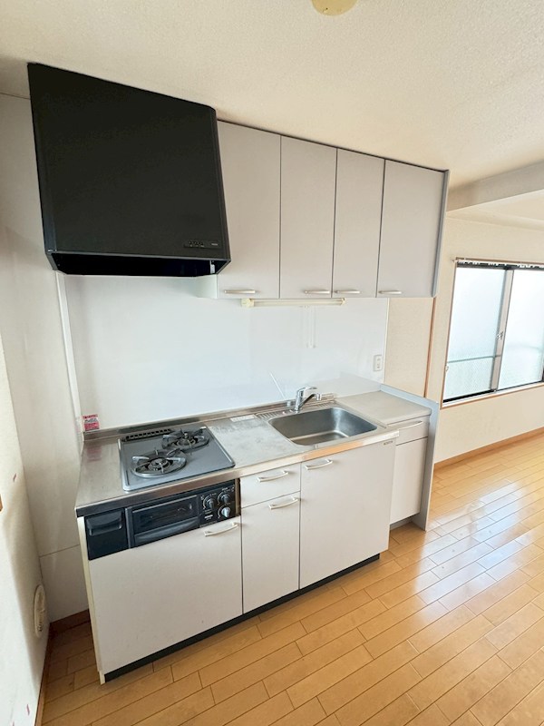 &#12497;&#12540;&#12463;&#12469;&#12452;&#12489;&#22823;&#24107; &#12461;&#12483;&#12481;&#12531;