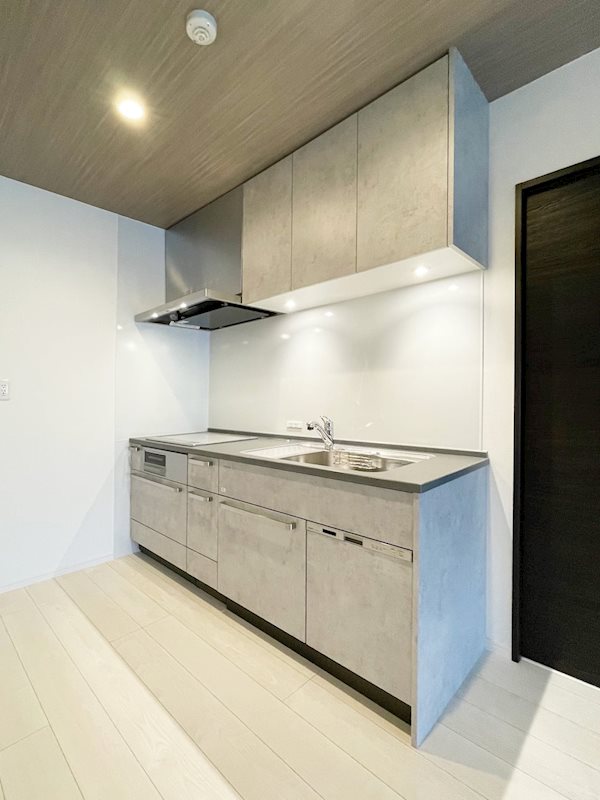 ニューガイア川崎№70 キッチン