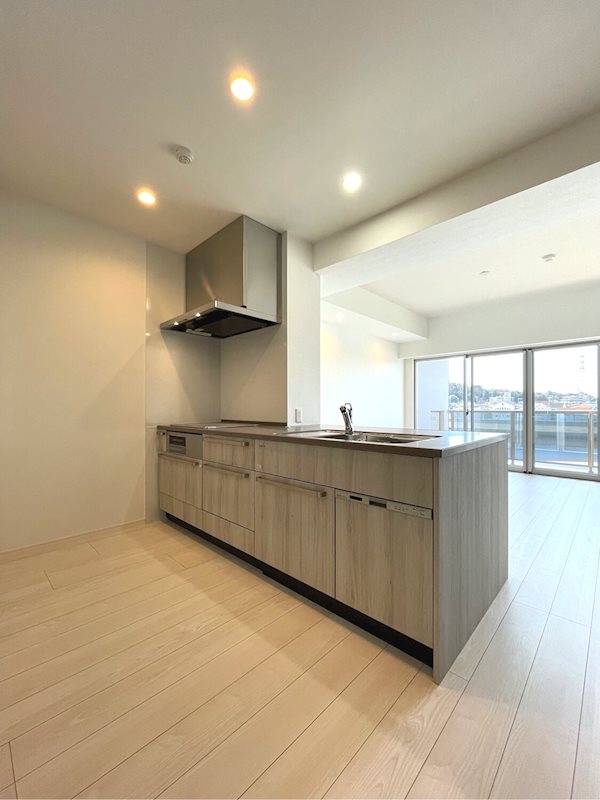 ニューガイア川崎№70 キッチン