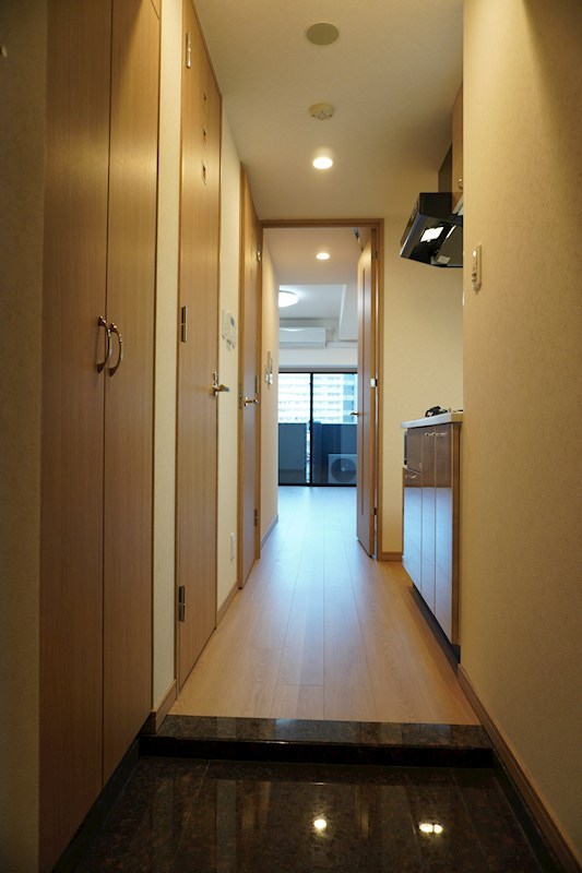 ルーブル川崎神明町 玄関