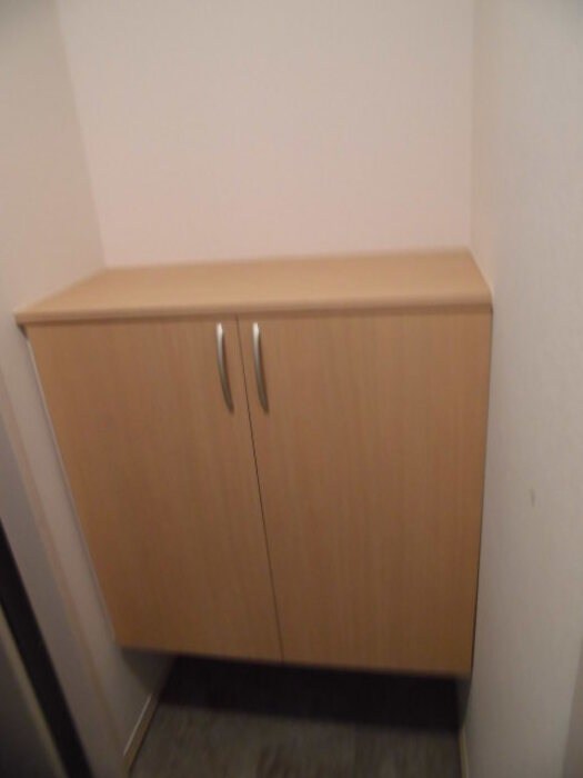 新川崎ヴィラージュA その他3