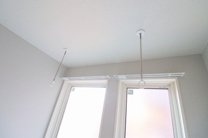 ロッシュマン　フリーゼ  その他5