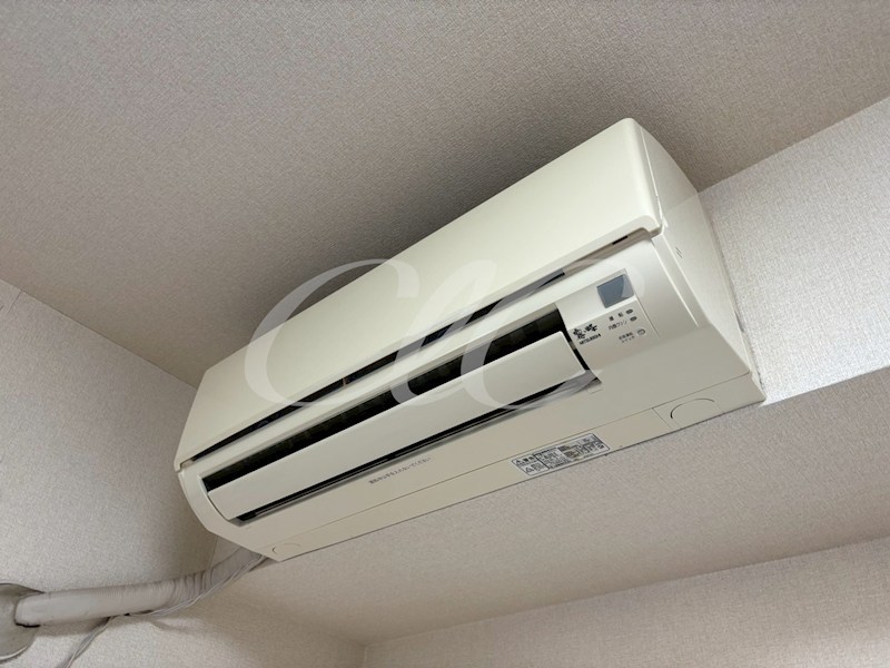 アムール その他6