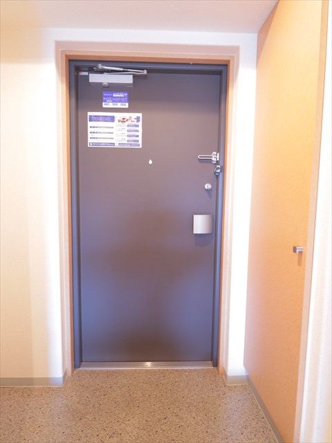 &#12524;&#12472;&#12487;&#12451;&#12450;&#21335;&#34892;&#24499; &#29572;&#38306;