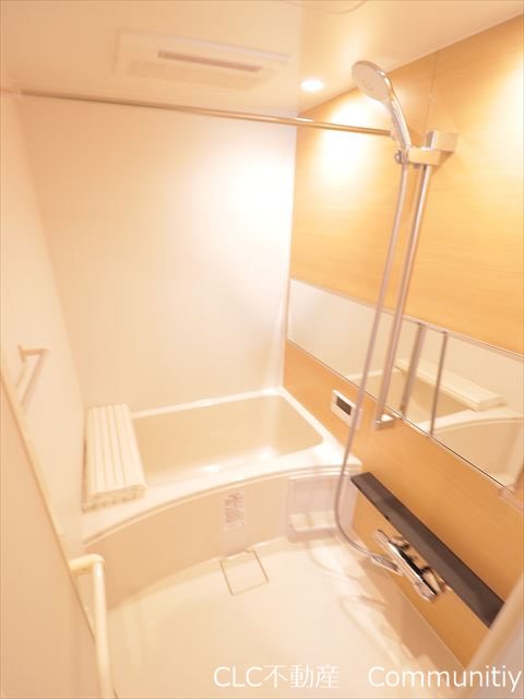 &#12501;&#12455;&#12522;&#12471;&#12450;&#34892;&#24499;&#8544; &#39080;&#21570;&#30011;&#20687;