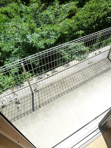 &#12450;&#12470;&#12524;&#29983;&#40614;&#65313;&#26847; &#12505;&#12521;&#12531;&#12480;