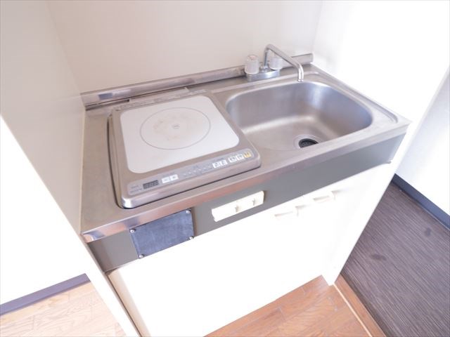 &#12505;&#12452;&#12464;&#12521;&#12531;&#12487;&#21271;&#26628; &#12381;&#12398;&#20182;13