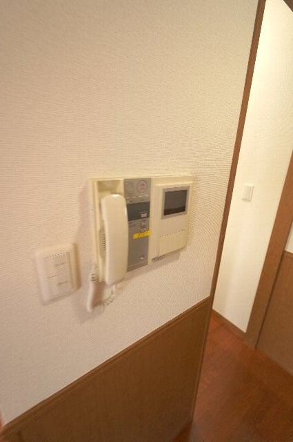 エバーグリーン その他1