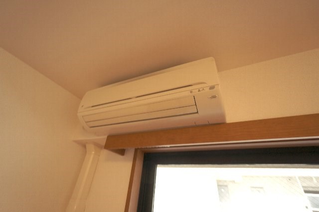 エバーグリーン その他3