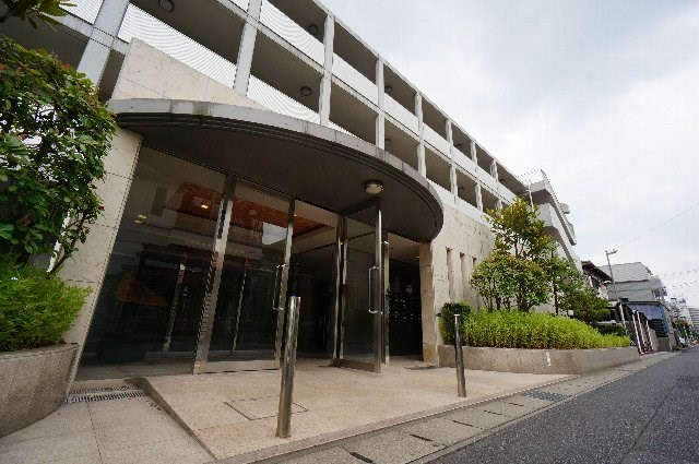 エバーグリーン その他5