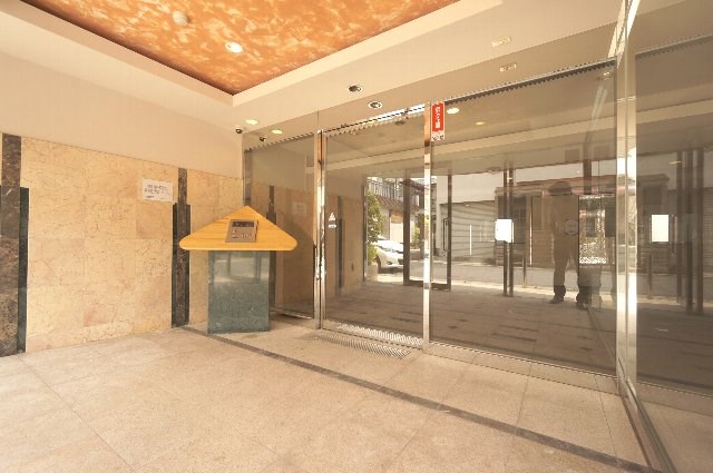 エバーグリーン その他8