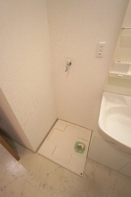 エバーグリーン その他9