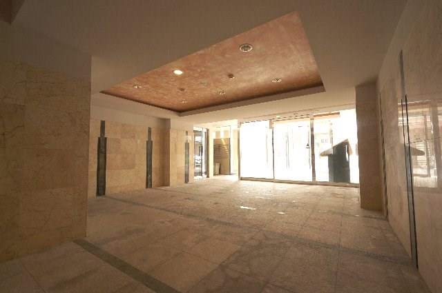 エバーグリーン その他11