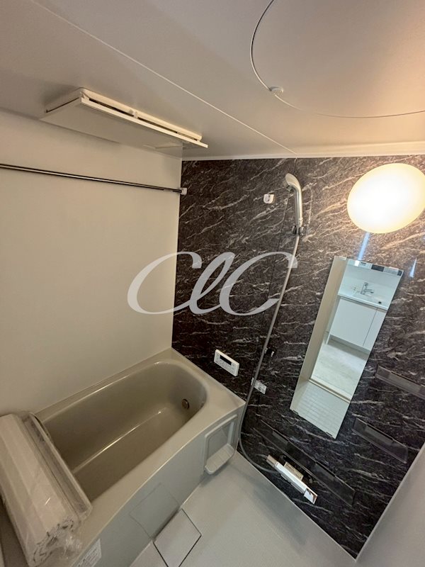 D Paina 旭町 風呂画像