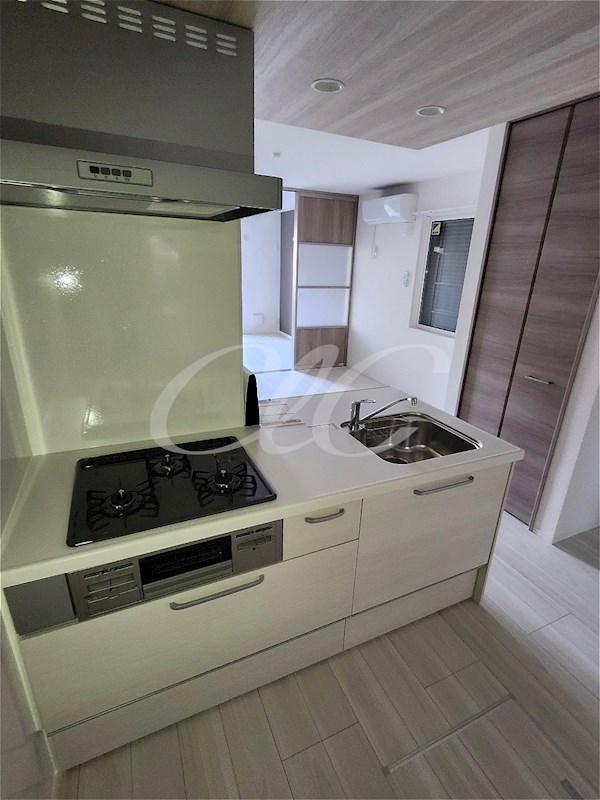 キングスカイハイツ大師  キッチン