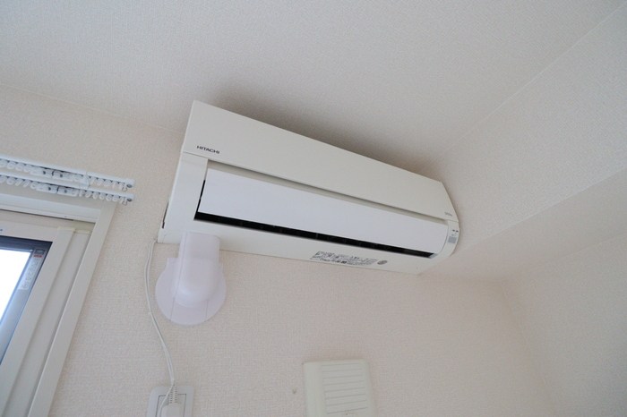 グリーングラス  その他6