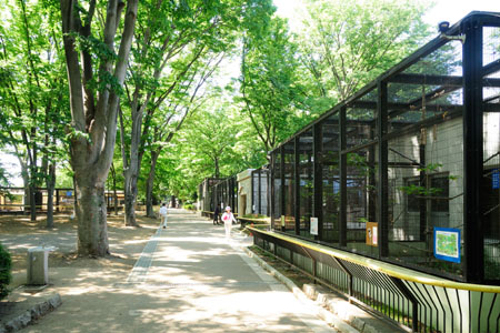 グリーングラス  周辺画像10