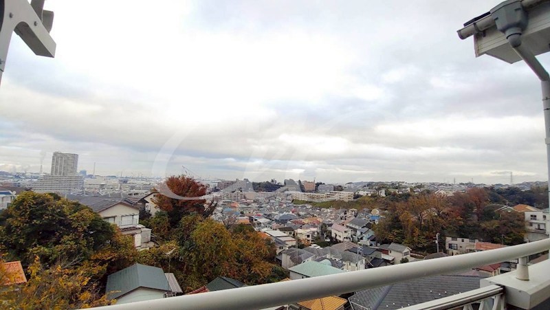 ドミール杉田 その他5