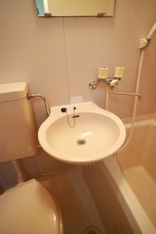 ヴェルドミール  その他1