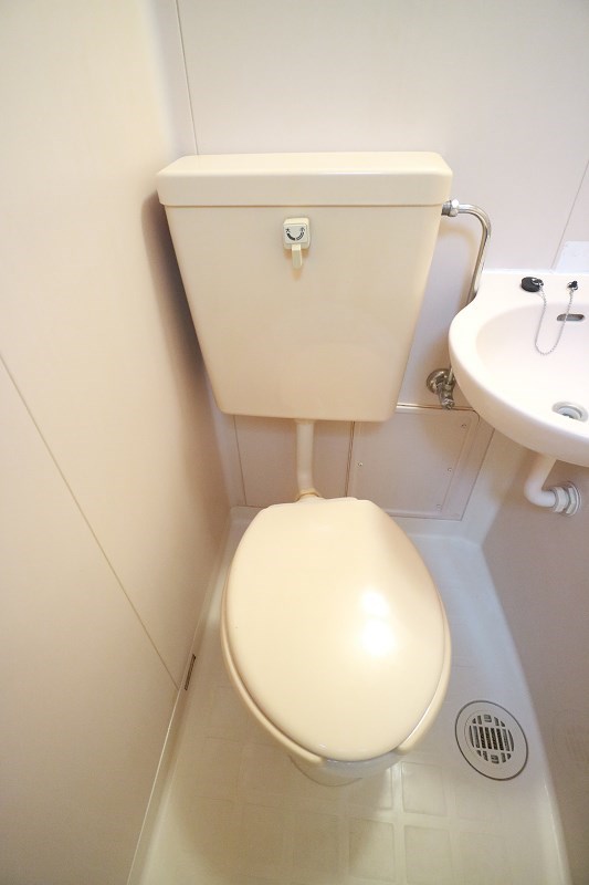 ヴェルドミール  その他2