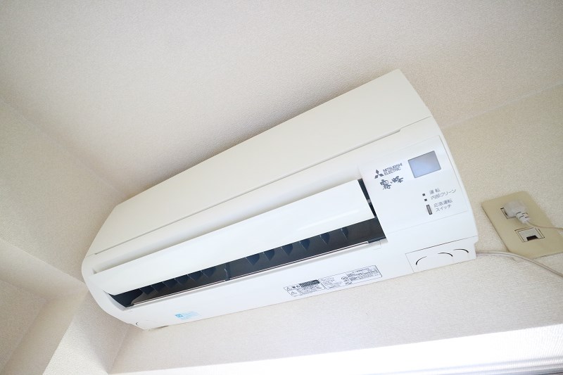 ヴェルドミール  その他4