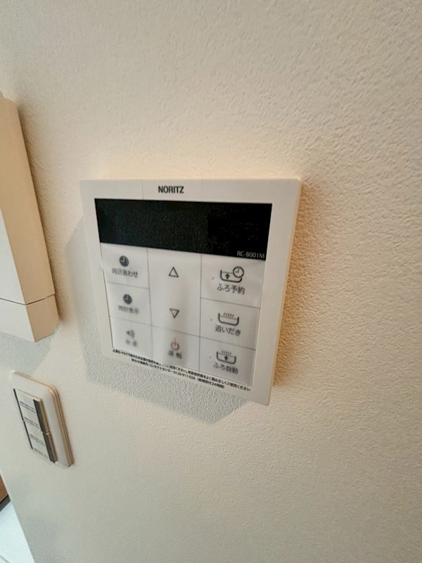 リノア その他10