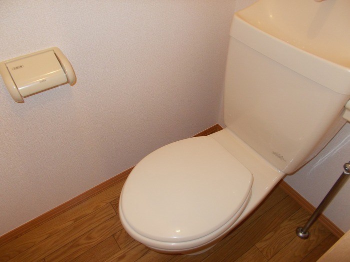 ハイム安井伍番館 その他1