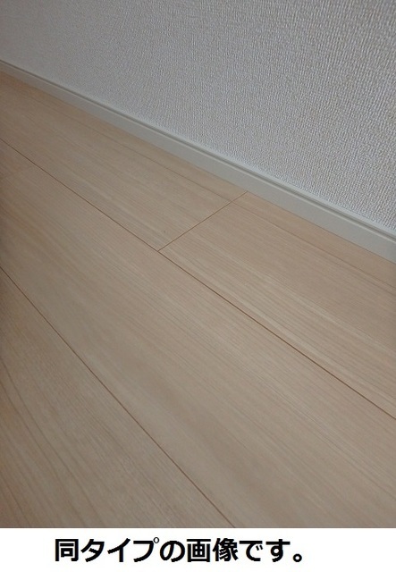 スリールステラ その他2