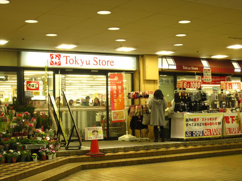 Ｇ・Ａヒルズ菊名Ⅱ 周辺画像4