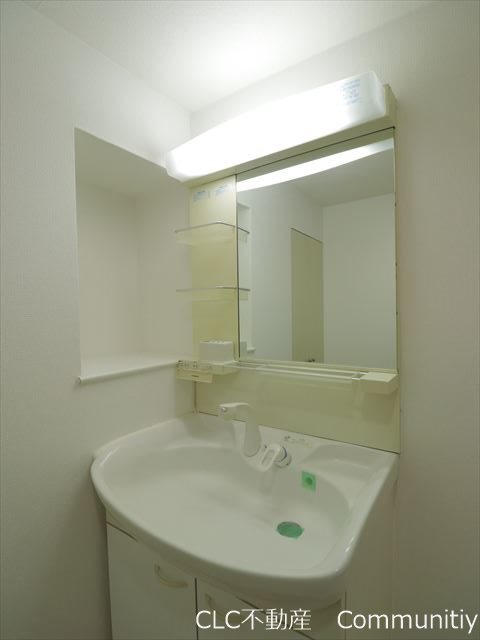 エバーグリーン その他1