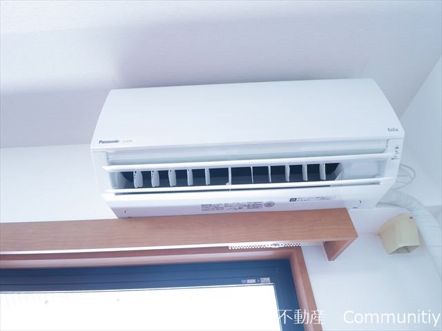 エバーグリーン その他4